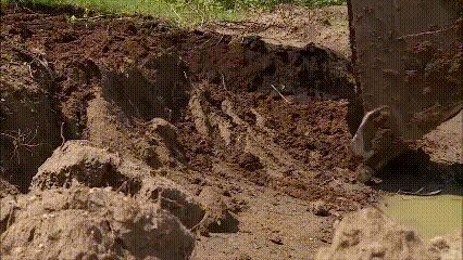 Partial-desiltation_Low-res