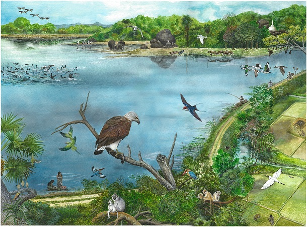  Traditional Dryzone Small Tank